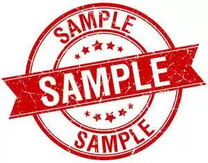 IT Assignments Sample